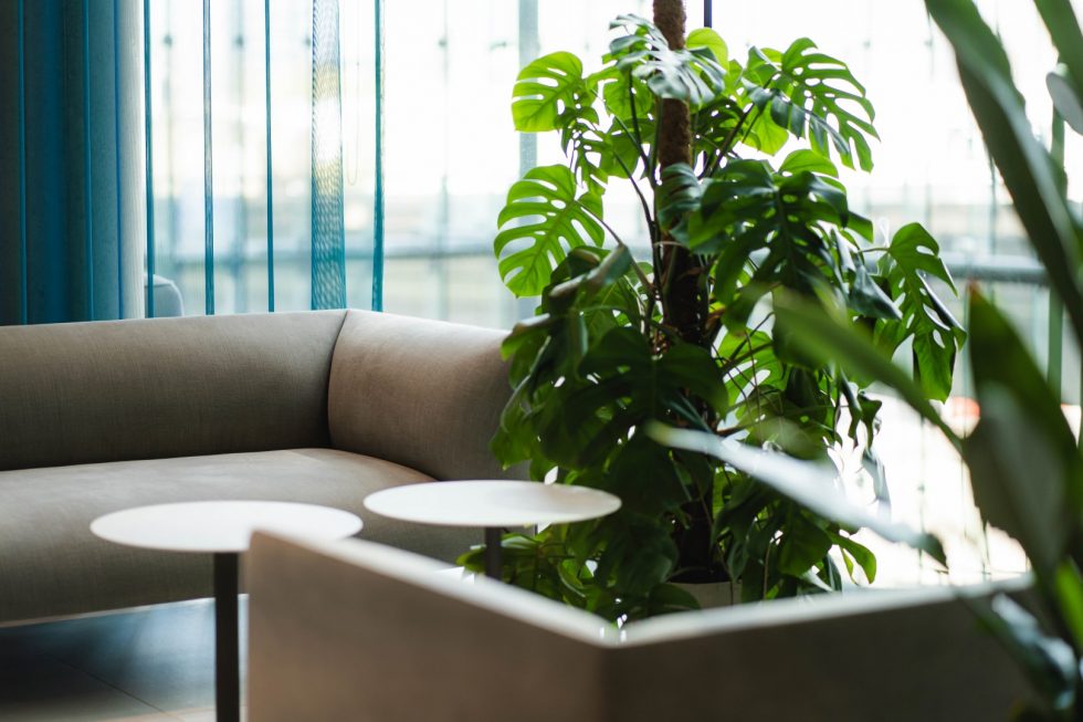 Paddington central - interior photography